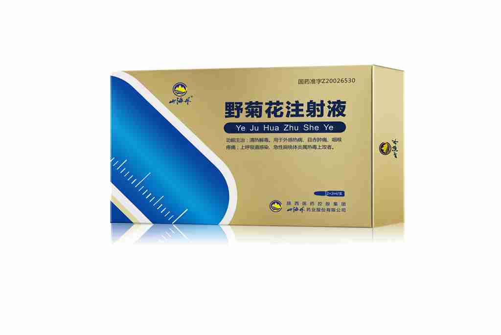 野菊花注射液 野菊花注射液
